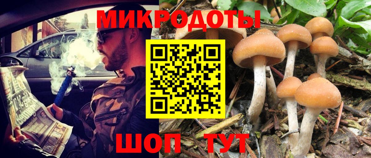 Галлюциногенные грибы мухоморы Северобайкальск