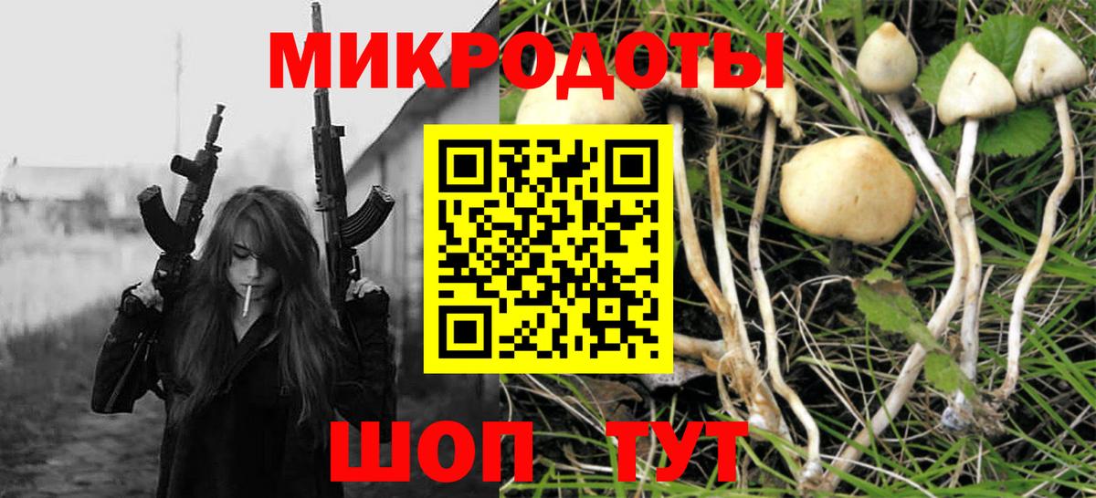 Галлюциногенные грибы Magic Shrooms  магазин продажи наркотиков  Северобайкальск  Вход с VPN 